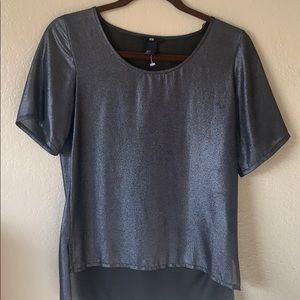 H&M Sparkly/Metallic Sheer Top